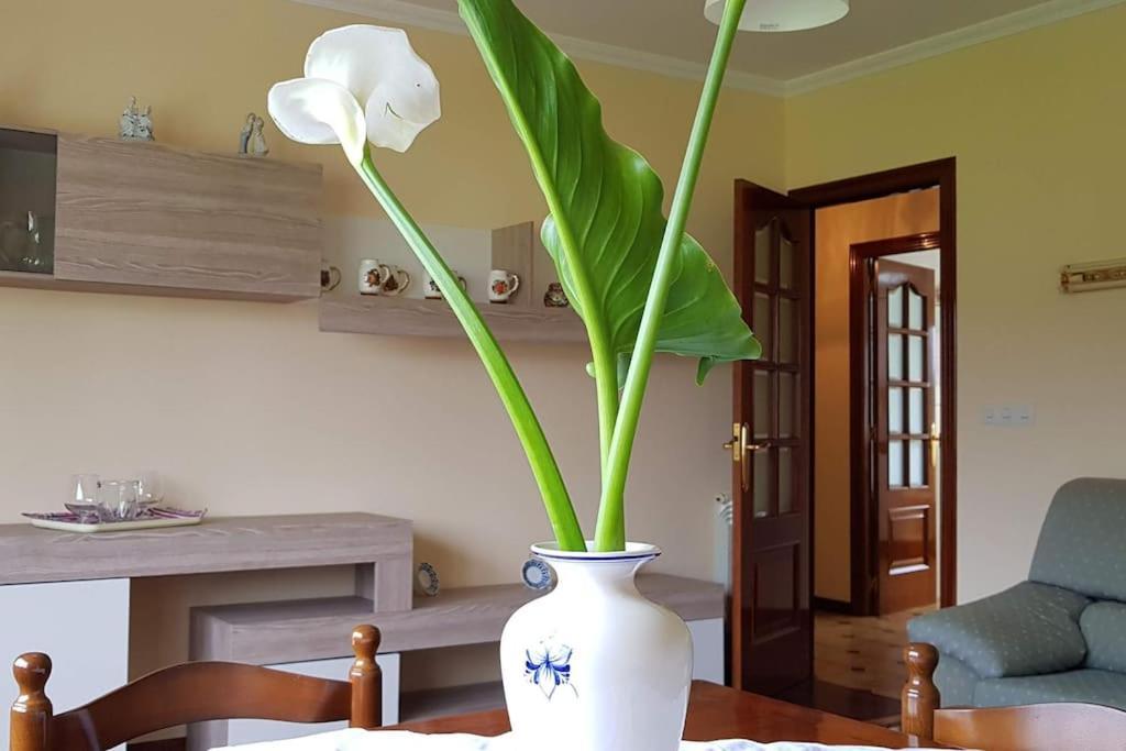 Apartamento A Pampillosa Fazouro Exteriör bild